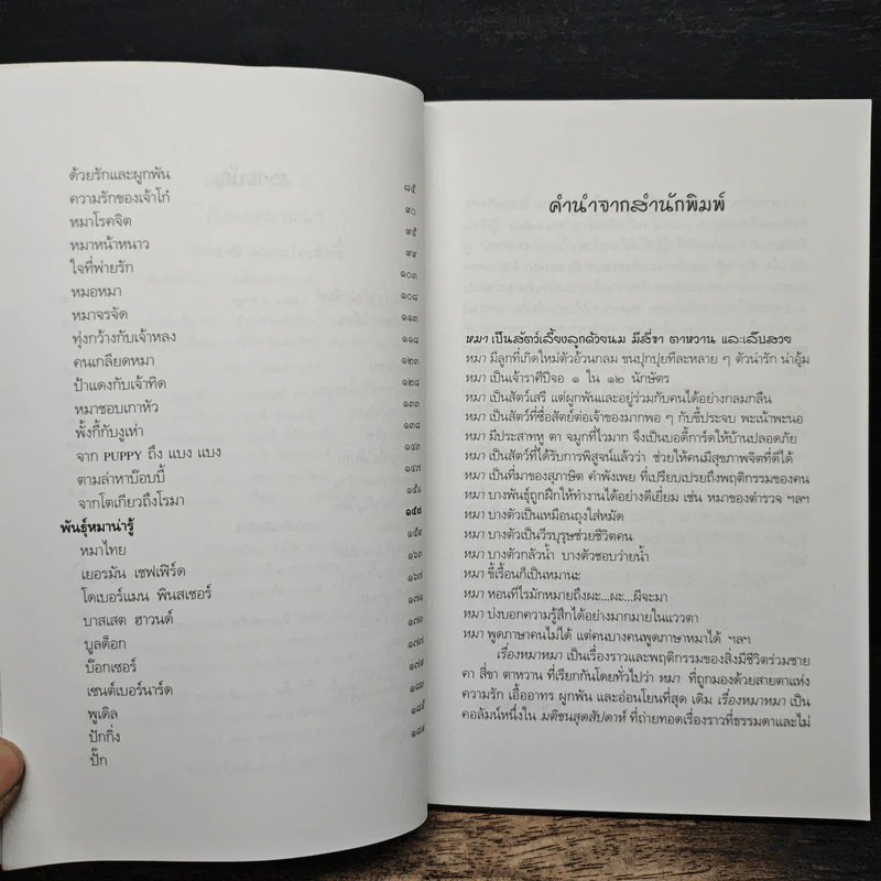 เรื่องหมาหมา - ปิยะชาติ มงคลไชยสิทธิ์ รูปที่ 7