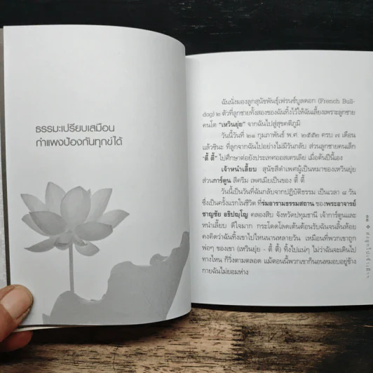 ส่งลูกไปเข้าเฝ้าพระพุทธเจ้า - หทัยภรณ์ กสิกิจนำชัย รูปที่ 10