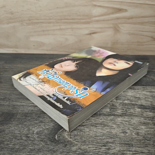 หัวใจหลงทางรัก - รมณ รูปที่ 3