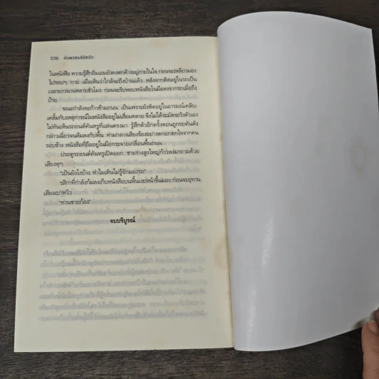 ดั่งพรหมลิขิตรัก - ฐิญาดา รูปที่ 8
