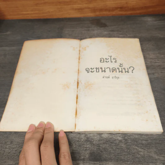 อะไรจะขนาดนั้น - ดำรงค์ อารีกุล รูปที่ 6