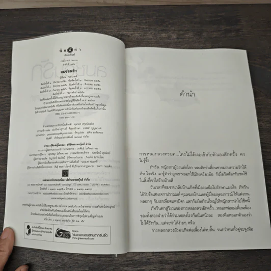 ลมซ่อนรัก - นราเกตต์ รูปที่ 6