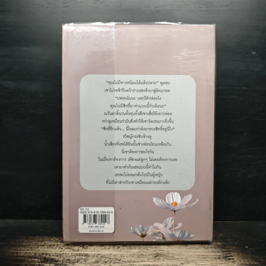 โซ่รักโซ่เสน่หา - กษิรา รูปที่ 2