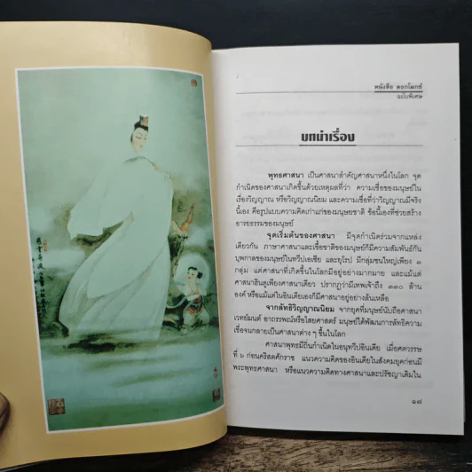 เนตรมหาโพธิสัตว์ และกฤษดาภินิหาร กวนอิม รูปที่ 11