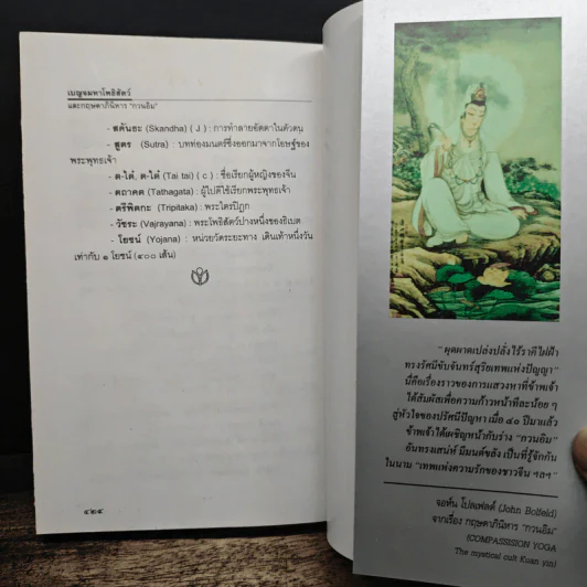 เนตรมหาโพธิสัตว์ และกฤษดาภินิหาร กวนอิม รูปที่ 12