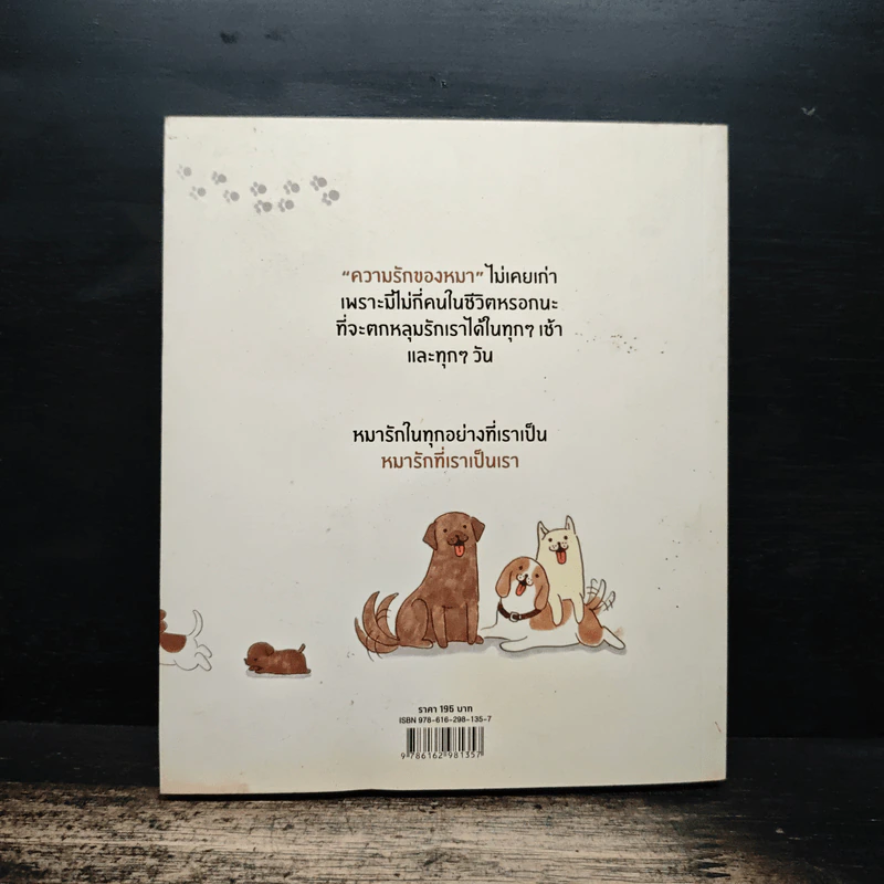 หมาจ๋า 50 จากล้านเหตุผลที่คนหหนึ่งคนรักหมา - หมาจ๋า รูปที่ 2