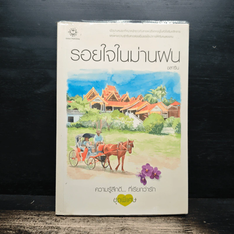 รอยใจในม่านฝน - ชลาริน รูปที่ 1