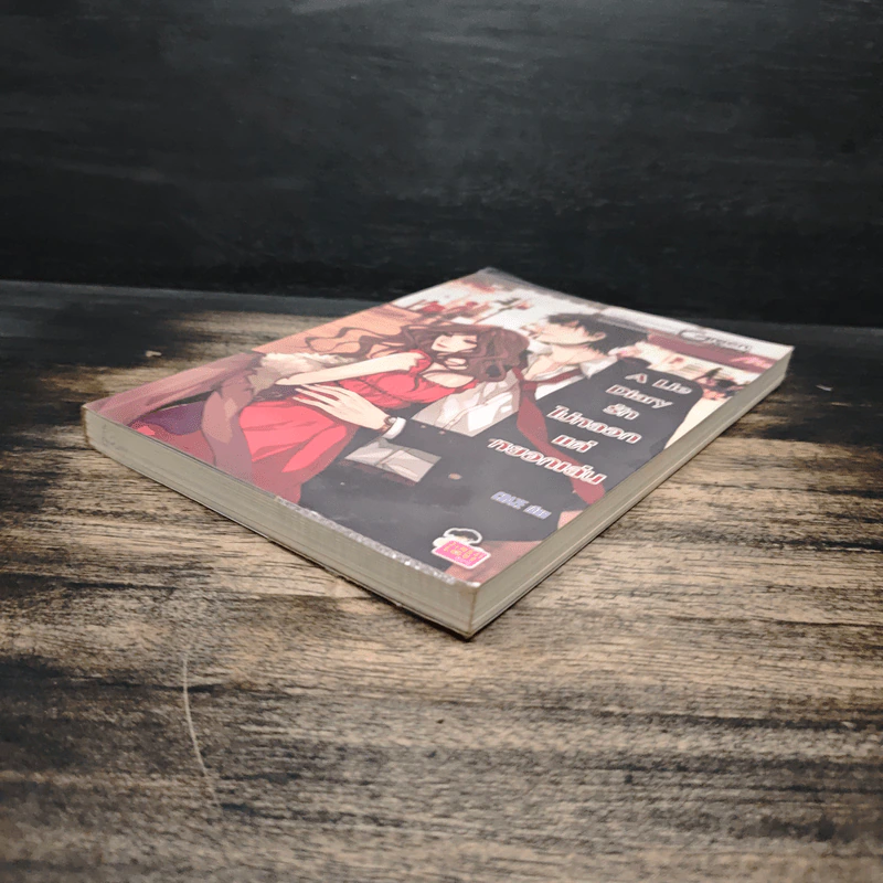 A Lie Diary รักไม่หลอกแค่หยอกเล่น - CRAZE รูปที่ 4