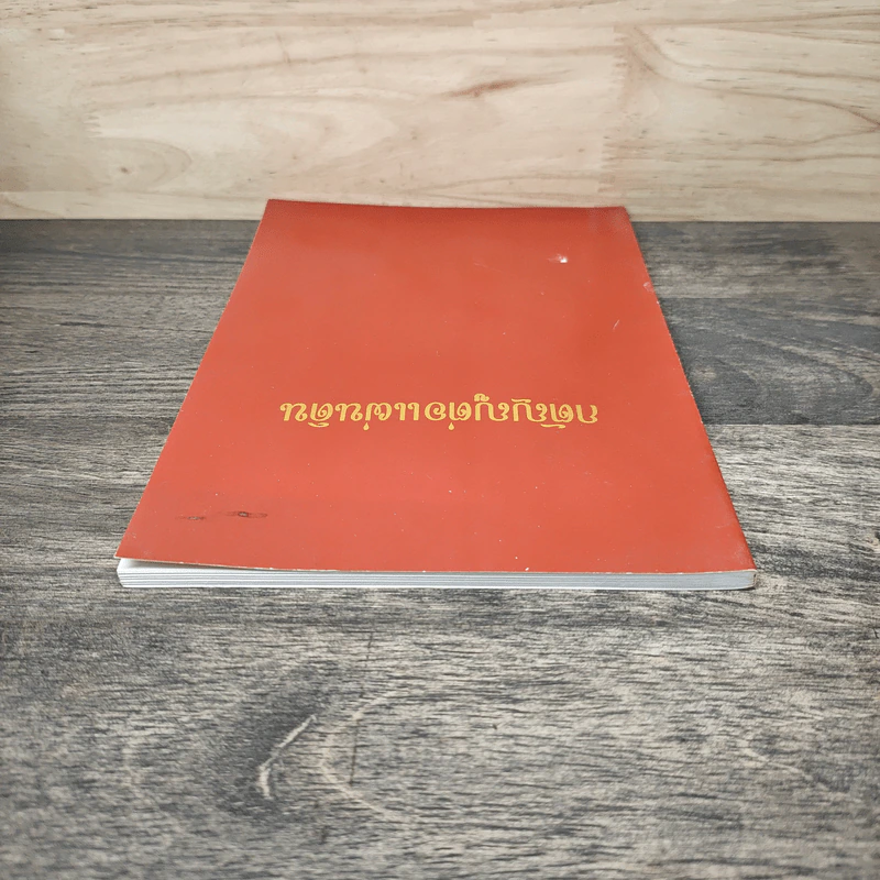 กตัญญูต่อแผ่นดิน รูปที่ 4