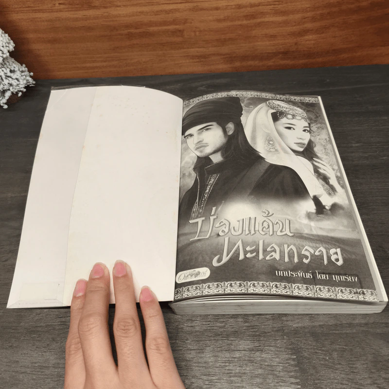 บ่วงแค้นทะเลทราย - มุกเรียง รูปที่ 6