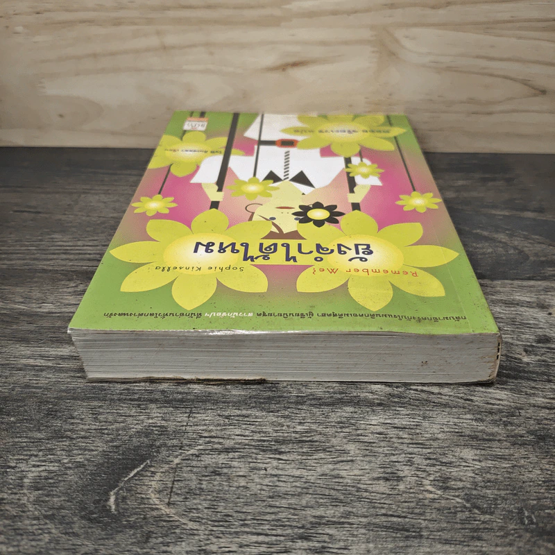 Remember Me ยังจำได้ไหม - โซฟี คินเซลลา, พลอย จริยะเวช รูปที่ 4