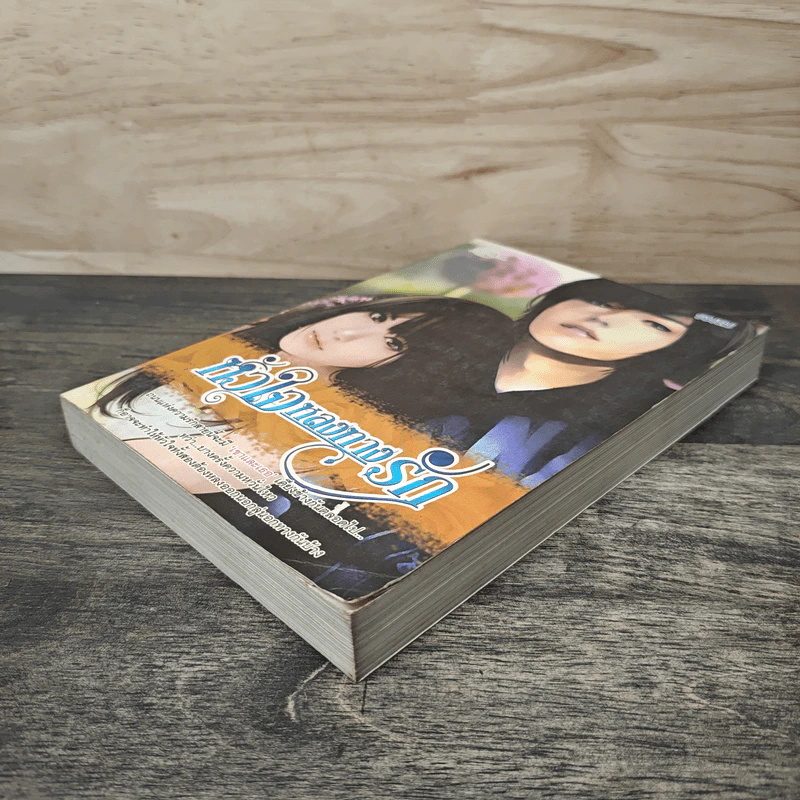หัวใจหลงทางรัก - รมณ รูปที่ 3