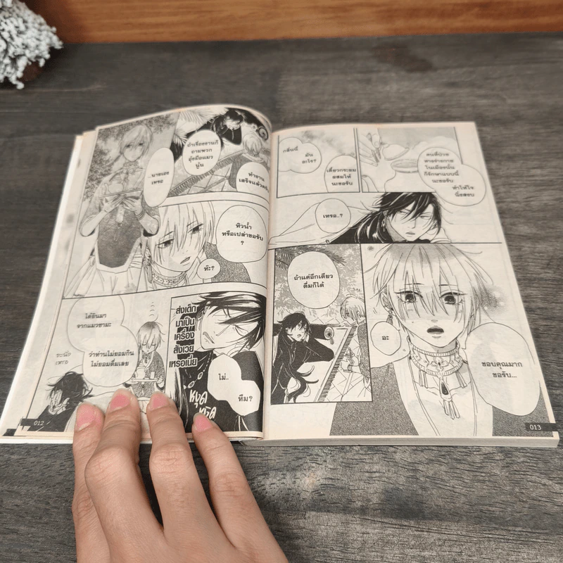 เชิญชมดอกไม้ครับ - Shirohito Rita รูปที่ 7