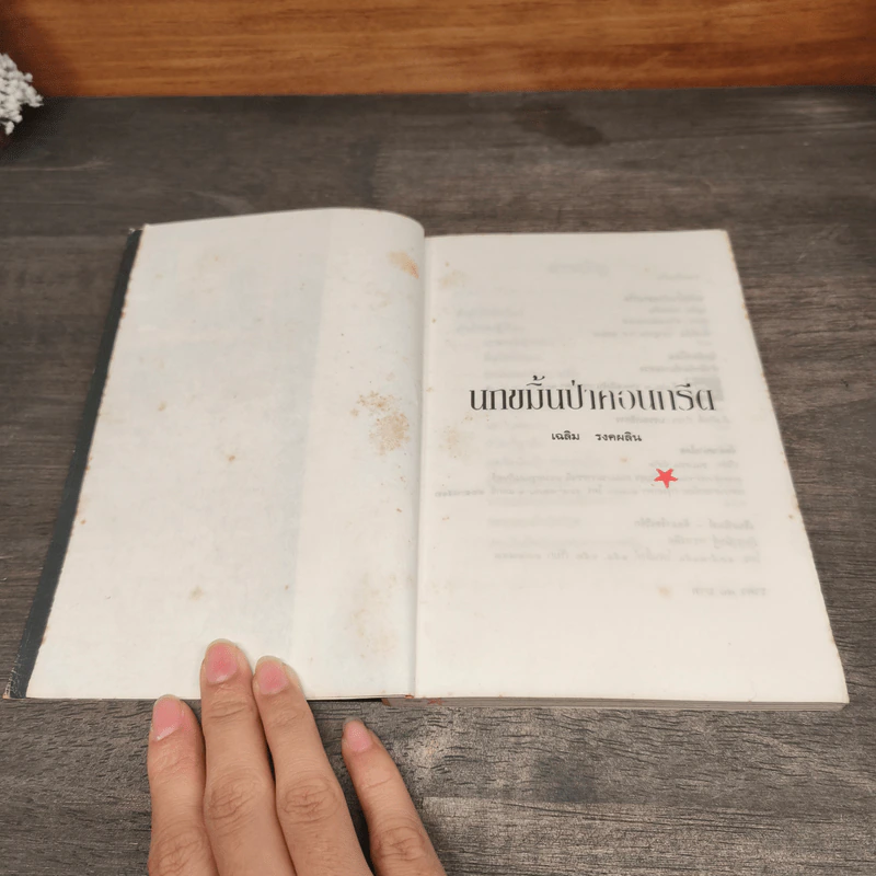 นกขมิ้นในป่าคอนกรีต - เฉลิม รงคผลิน รูปที่ 7