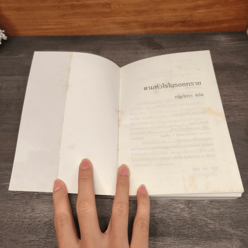 ตามหัวใจในรอยทราย - ณัฐภัทรา รูปที่ 6