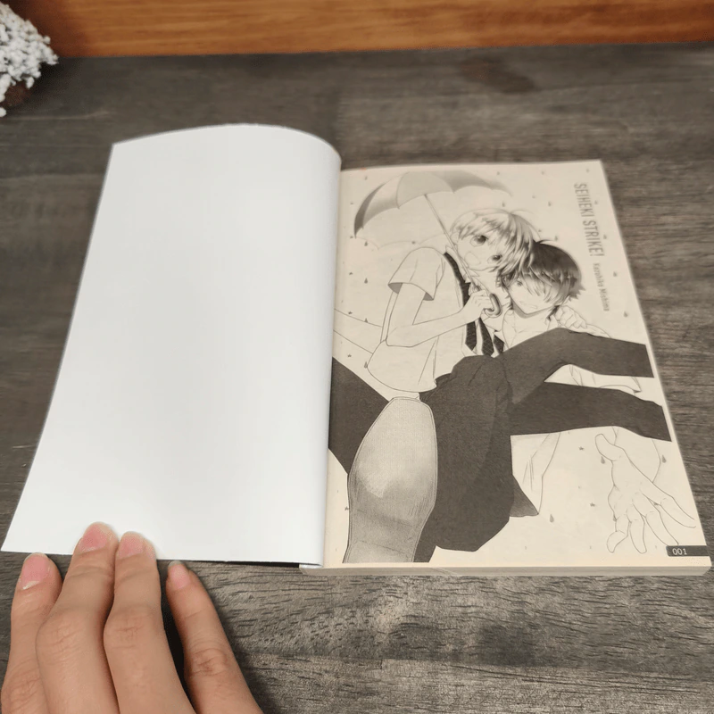 ผู้ชายแสนซื่อตรง - Kazuhiko Mishima รูปที่ 6