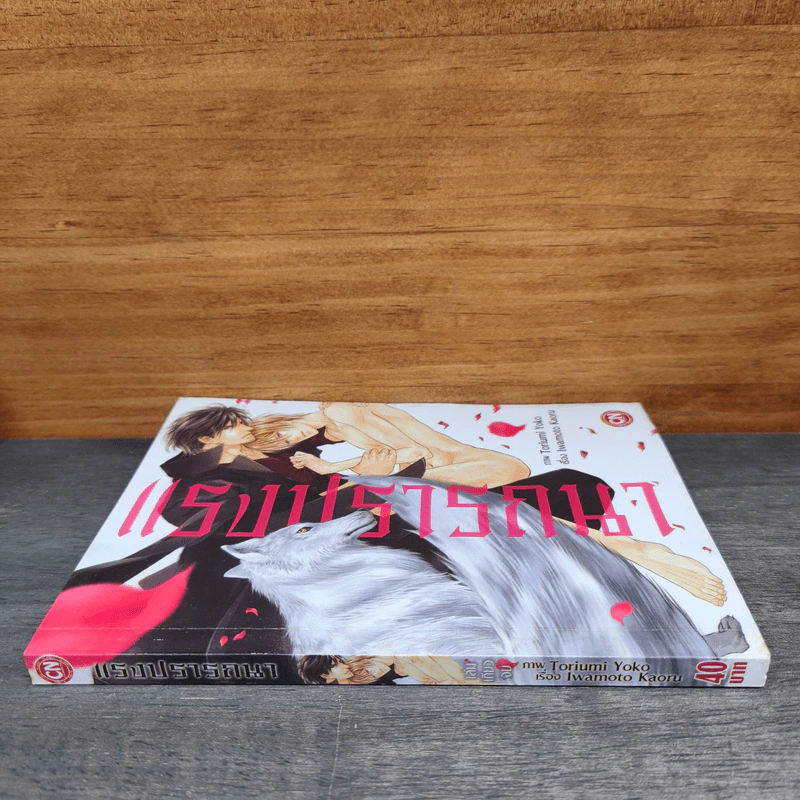 แรงปรารถนา - Toriumi Yoko รูปที่ 2