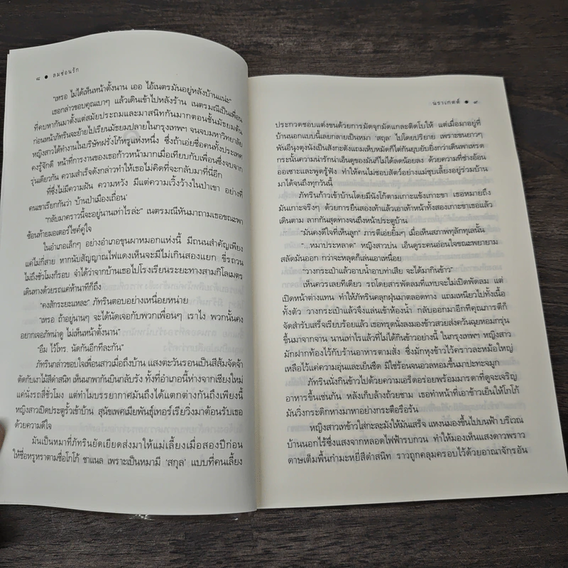 ลมซ่อนรัก - นราเกตต์ รูปที่ 7
