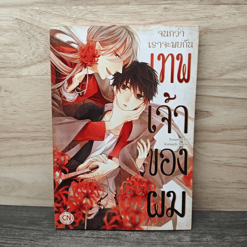 จนกว่าเราจะพบกันเทพเจ้าของผม - Komachi Macht รูปที่ 1
