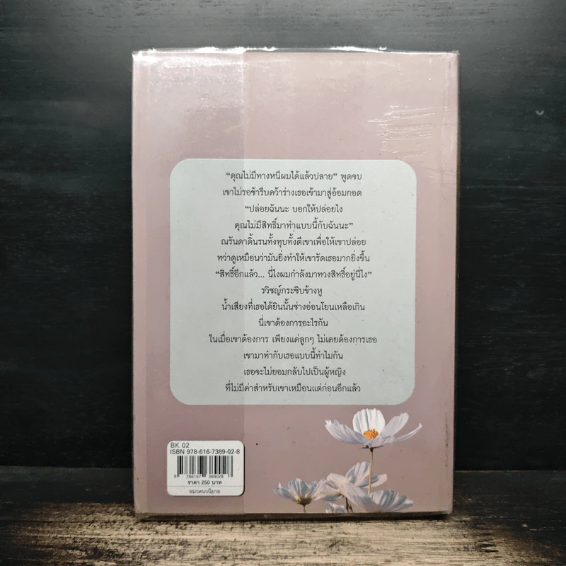 โซ่รักโซ่เสน่หา - กษิรา รูปที่ 2