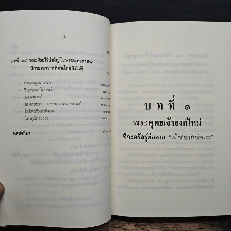 พระพุทธเจ้าองค์ใหม่ ที่จะตรัสรู้ต่อจาก “เจ้าชายสิทธัตถะ” - ประภาส สุระเสน รูปที่ 14