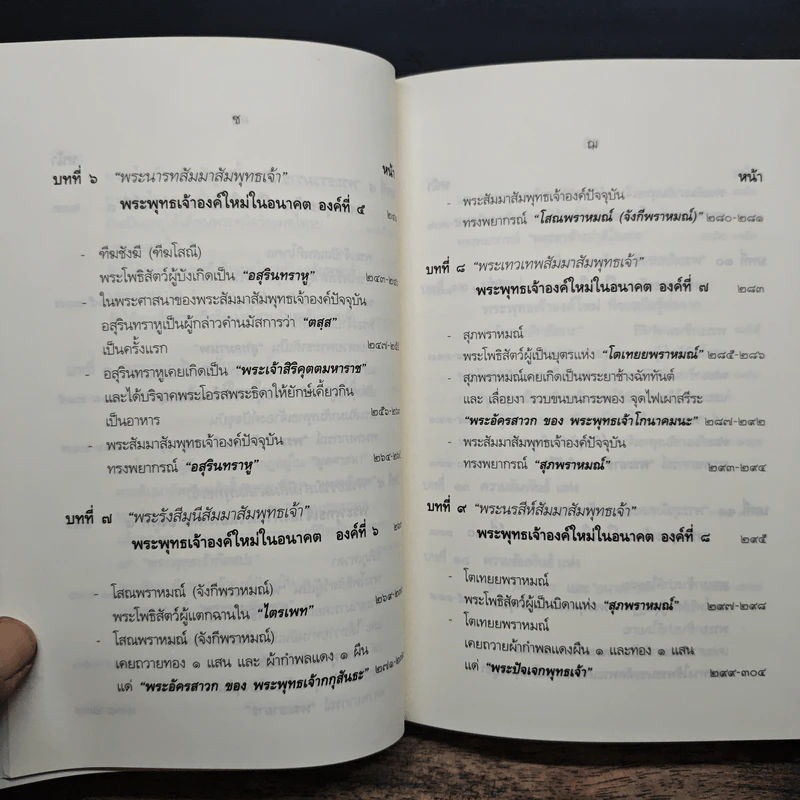 พระพุทธเจ้าองค์ใหม่ ที่จะตรัสรู้ต่อจาก “เจ้าชายสิทธัตถะ” - ประภาส สุระเสน รูปที่ 12