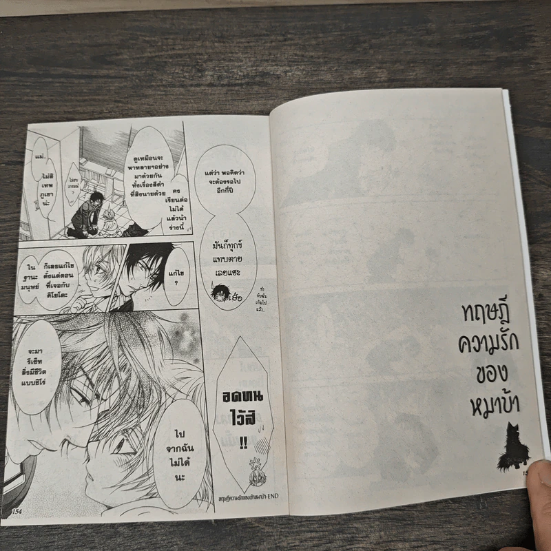 ทฤษฎีความรักของหมาบ้า - Naduki Koujima รูปที่ 8