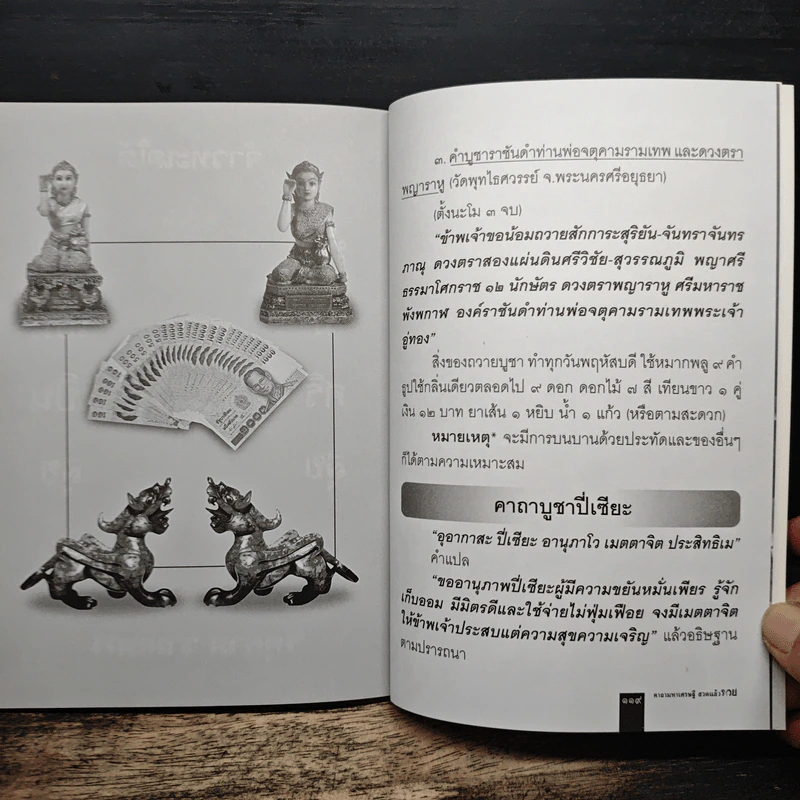คาถามหาเศรษฐีสวดแล้วรวย - ทศพล จังพานิชย์กุล รูปที่ 10