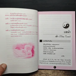 เต๋าเตะปี๊ป - พีระ บุญจริง รูปที่ 9