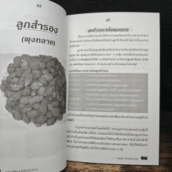 กินเป็น ลืมป่วย ล้างสารพิษในร่างกาย - อ.สุทธิวัสส์ คำภา รูปที่ 9