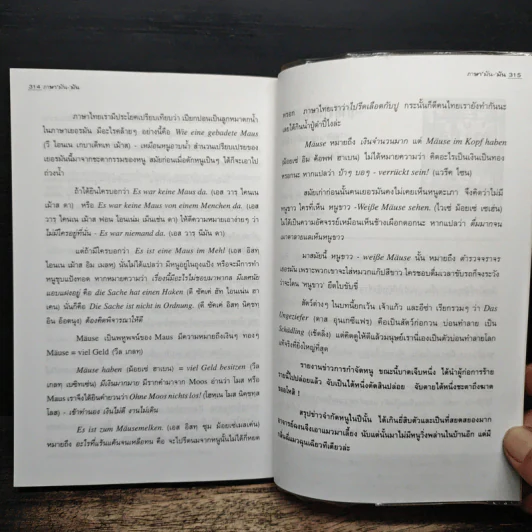 ภาษา'มัน-'มัน - สีมน รูปที่ 9