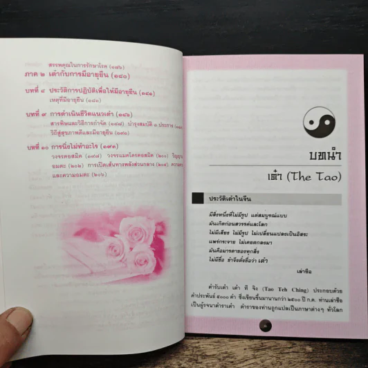 เต๋าเตะปี๊ป - พีระ บุญจริง รูปที่ 9