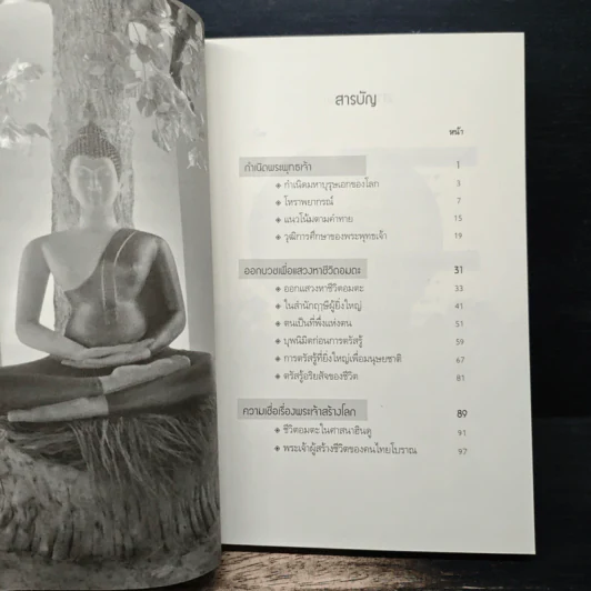 พระพุทธเจ้าเปิดโลก - ดร.จรูญ วรรณกสิณานนท์ รูปที่ 7