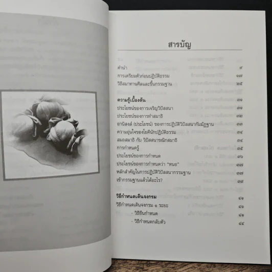 คู่มือการปฏิบัติวิปัสสนากรรมฐาน - พระมหาทองมั่น สุทธจิตโต รูปที่ 7