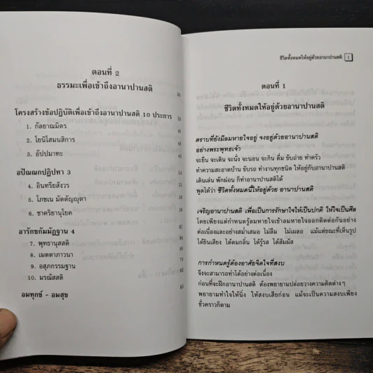 อานาปานสติ : วิถีแห่งความสุข 1 ชีวิตทั้งหมดให้อยู่ด้วยอานาปานสติ - พระอาจารย์มิตซูโอะ คเวสโก รูปที่ 8