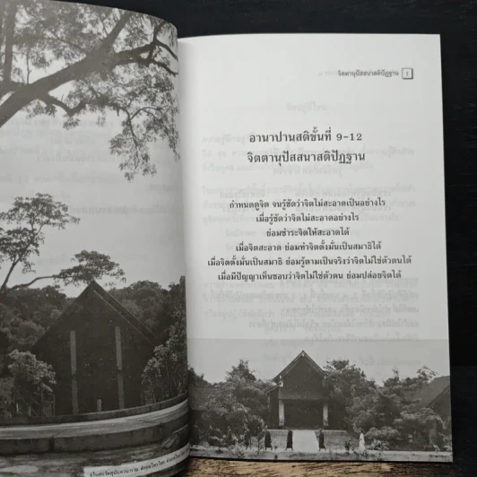 อานาปานสติ : วิถีแห่งความสุข 3 ขั้นที่ 9-16 - พระอาจารย์มิตซูโอะ คเวสโก รูปที่ 9
