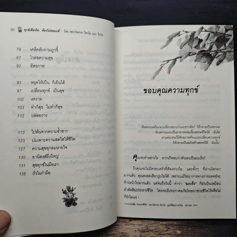 ทุกข์เพียงใดต้องไม่ยอมแพ้ - พระไพศาล วิสาโล และรินใจ รูปที่ 8