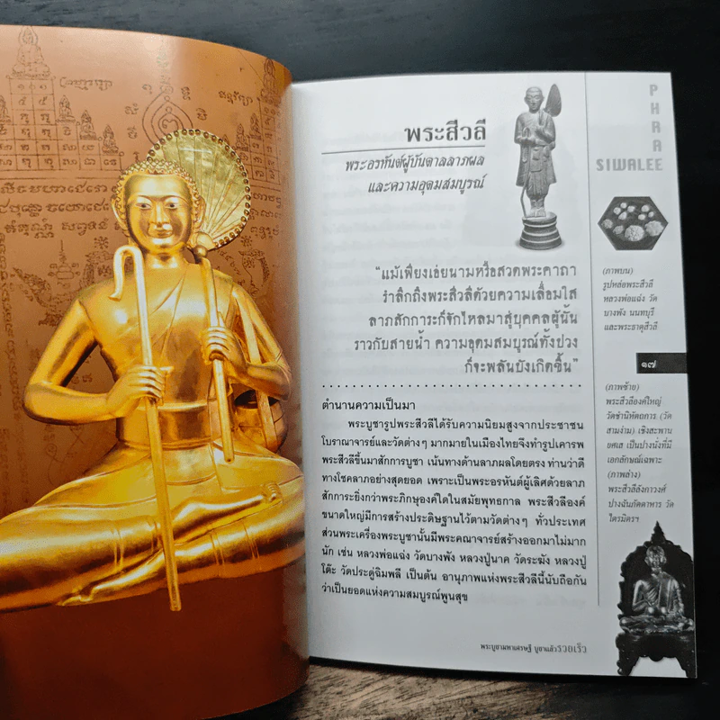 พระบูชามหาเศรษฐี บูชาแล้วรวยเร็ว - ทศพล จังพานิชย์กุล รูปที่ 8