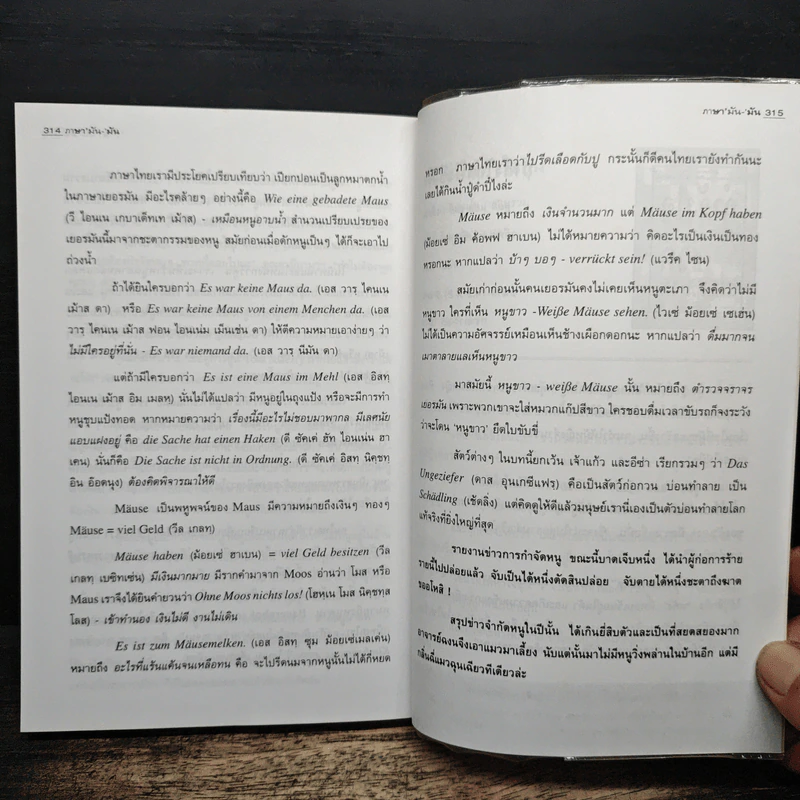 ภาษา'มัน-'มัน - สีมน รูปที่ 9