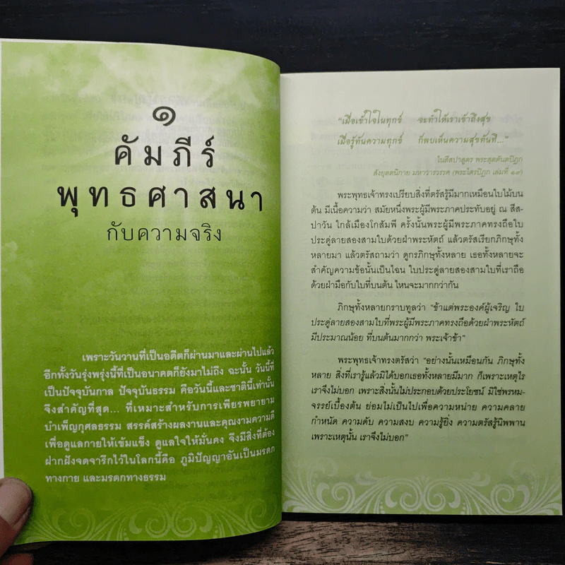 ความลับที่ยังไม่เคยบอกใคร - ธีรโสภณ รูปที่ 8
