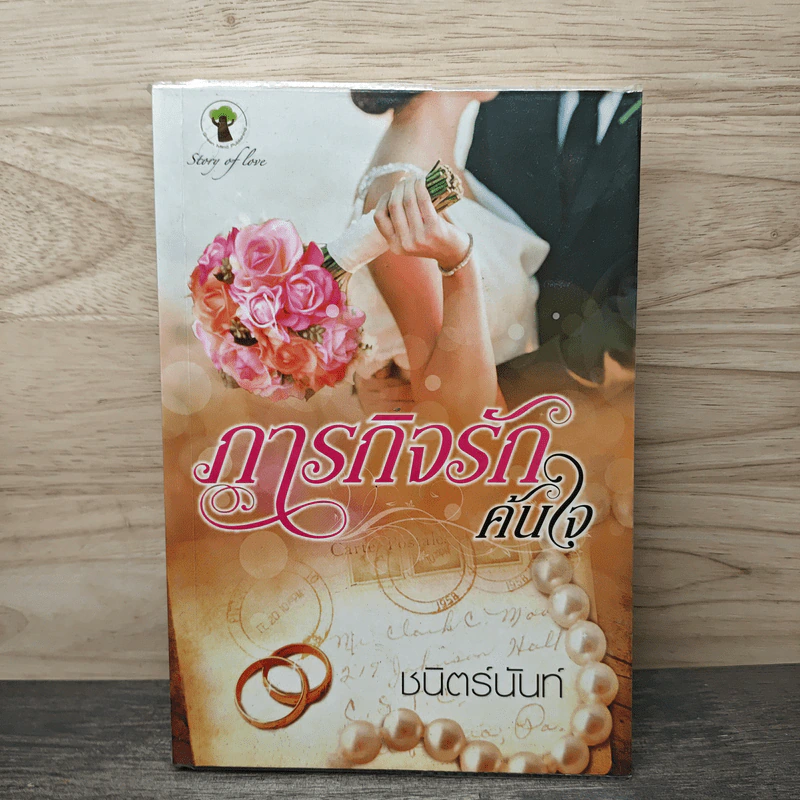 ภารกิจรักค้นใจ - ชนิตร์นันท์ รูปที่ 1