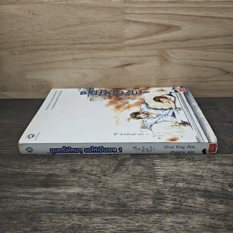 จูบครั้งไหนๆขอให้เป็นเธอ เล่ม 1 - Silver Ring, เฟ่ยหลาน รูปที่ 2