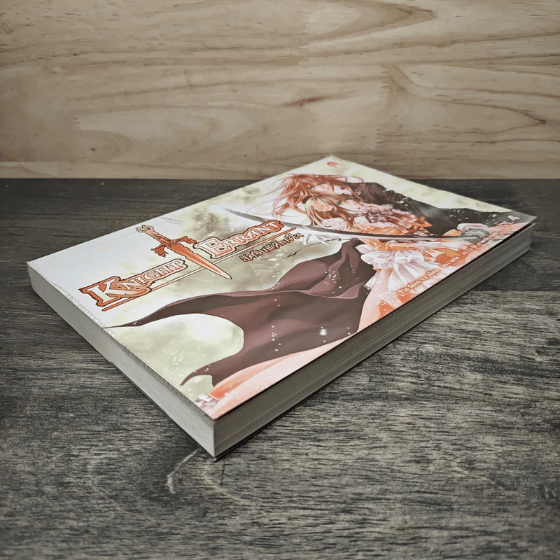 KNIGHT ERRANT อัศวินพิทักษ์ใจ เล่ม 4 รูปที่ 3