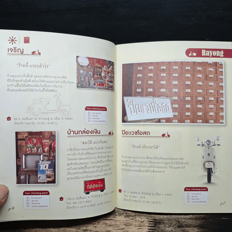 Al di là Dell'amore Vintage Directory Handbook 2013 รูปที่ 8