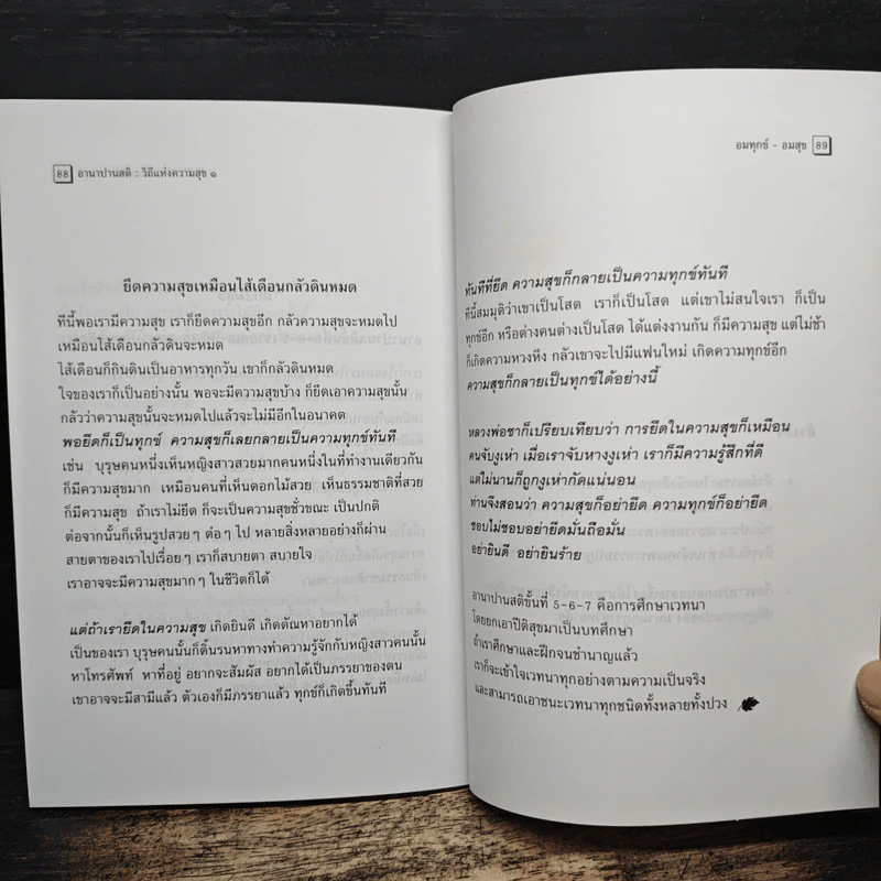 อานาปานสติ : วิถีแห่งความสุข 1 ชีวิตทั้งหมดให้อยู่ด้วยอานาปานสติ - พระอาจารย์มิตซูโอะ คเวสโก รูปที่ 9