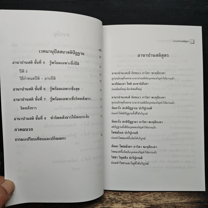 อานาปานสติ : วิถีแห่งความสุข 2 ขั้นที่ 1-8 - พระอาจารย์มิตซูโอะ คเวสโก รูปที่ 8