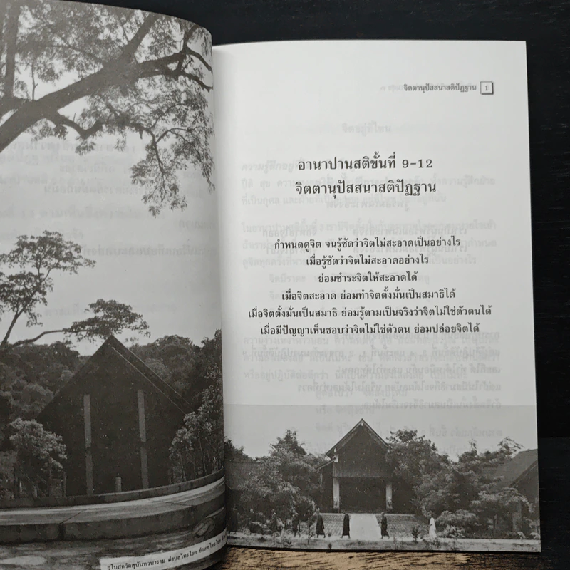อานาปานสติ : วิถีแห่งความสุข 3 ขั้นที่ 9-16 - พระอาจารย์มิตซูโอะ คเวสโก รูปที่ 9
