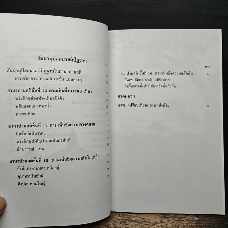 อานาปานสติ : วิถีแห่งความสุข 3 ขั้นที่ 9-16 - พระอาจารย์มิตซูโอะ คเวสโก รูปที่ 8