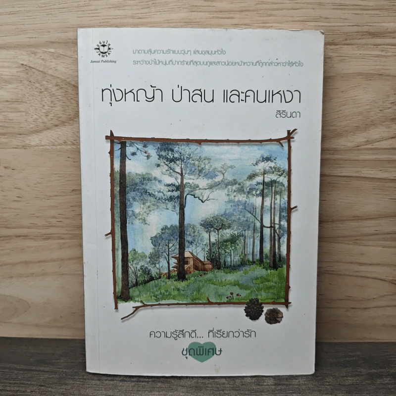 ทุ่งหญ้า ป่าสน และคนเหงา - สิรินดา รูปที่ 1