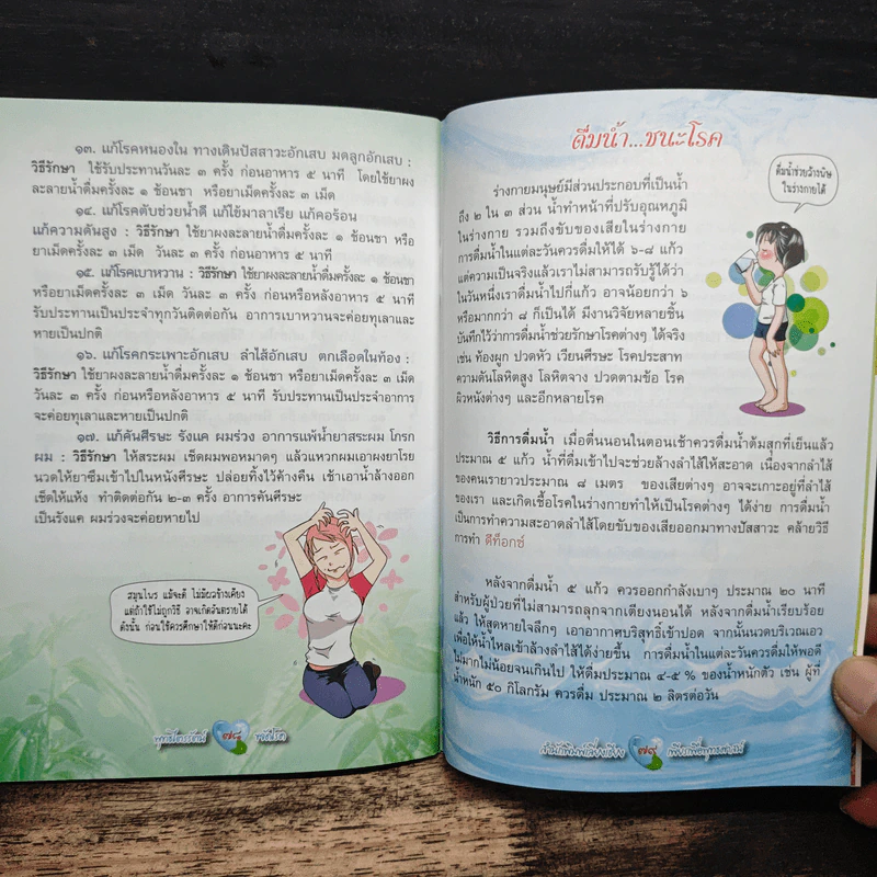 พุทธไตรรัตน์ ขจัดโรค รูปที่ 9